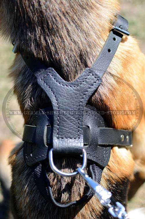 German Shepherd Harness Handle and Ring for Dog Control