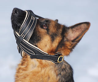 Comfort Dog Muzzle for German shepherd