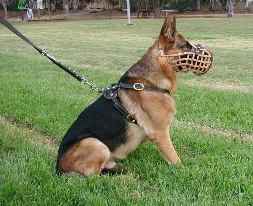 Handmade best dog muzzle fog German Shepherd