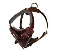 Comfort Padded Dog Harness for German Shepherd