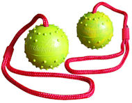 Training DOG BALL on a String-Dog Rubber Ball for Shepherd