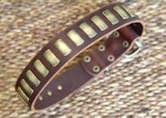 Leather collars