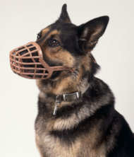 PLASTIC WIRE MUZZLE DOG MUZZLE
