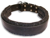 Alsatian Dog Padded Black collar 21'' /21 inch dog collar-C24