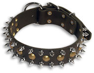 Alsatian Dog Studs Black collar 21'' /21 inch dog collar-S55