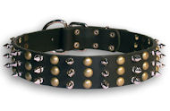 Alsatian Dog Studs Black collar 21'' /21 inch dog collar-S59
