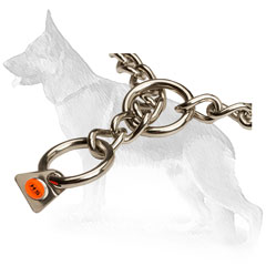 Dog Training Collar of Stainless Steel