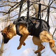 Tactical Insertion Harness - Crucial harness in rapid ascending