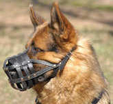 Leather dog muzzle for German Shepherd