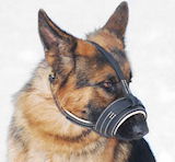 German Shepherd dog muzzle