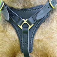 Tracking / Walking dog harness made of leather