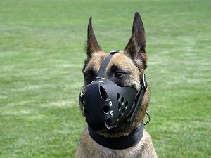 german shepherd muzzle- leather dog muzzle for german shepherd