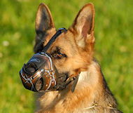 Best Art Leather dog muzzle for German Shepherd