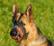 Deluxe Art Leather dog muzzle for GSD