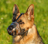 Best Art Leather dog muzzle for German Shepherd