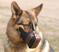 Leather dog muzzle "Dondi"-plus style For German Shepherd-M55