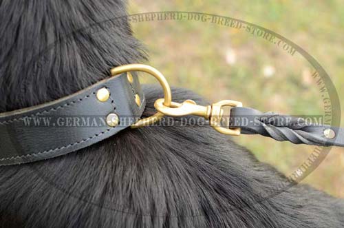 Brass D-Ring On Dog Collar Leather Corrosion Resistant