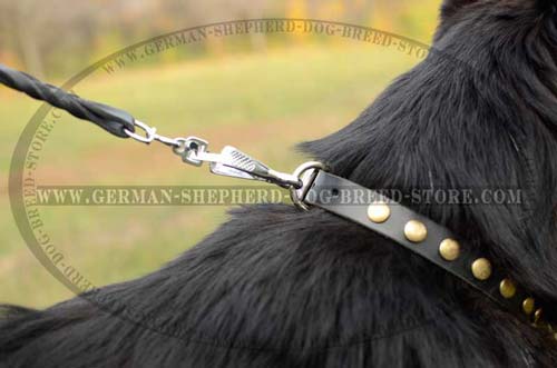 D-Ring Nickel Plated On Dog Collar Leather Decorated 