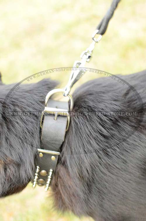 D-Ring Steel Durable On Dog Collar Leather