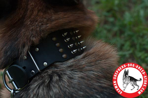 Extra Durable Leather German Shepherd Collar Comfortable Width