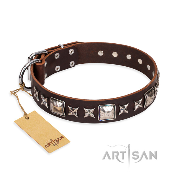 Incredible full grain natural leather dog collar for daily walking