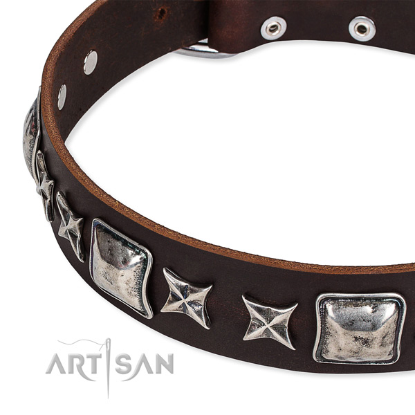Full grain leather dog collar with embellishments for daily use
