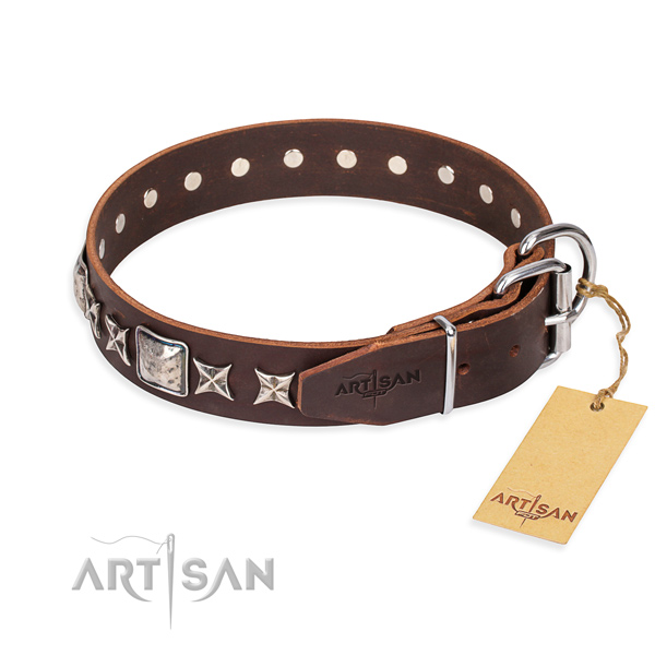 Daily walking full grain leather collar with adornments for your pet