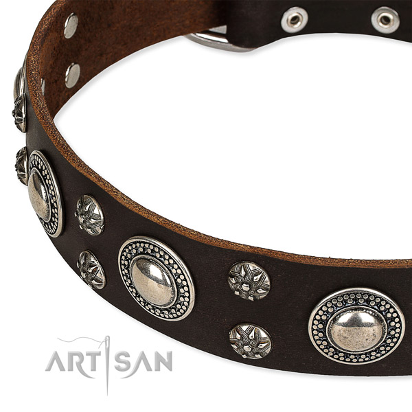 Snugly fitted leather dog collar with resistant to tear and wear rust-proof buckle and D-ring
