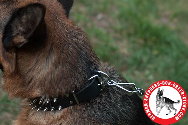 Spiked German Shepherd Collar with Nickel-plated Hardware