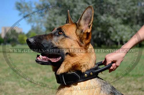Handmade German Shepherd Dog Collar