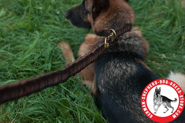 Efficient Braided Leather Choke Collar for German Shepherd