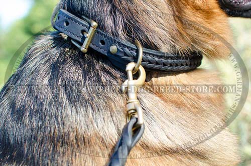 Braided 2 Ply Leather German Shepherd Collar with Brass Buckle