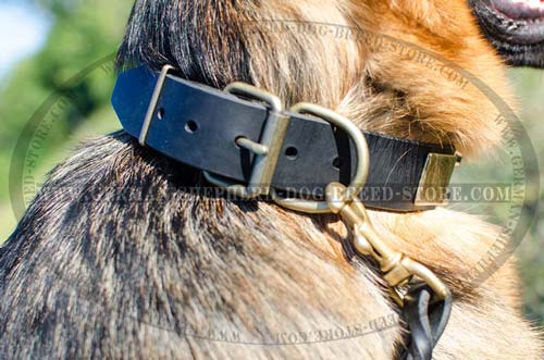 Buckled Leather German Shepherd Collar Mix of Brass Plates and Nickel Pyramids