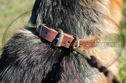 Buckled Studded Leather Dog Collar for German Shepherd