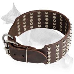 Buckled Wide Leather German Shepherd Collar Studded in 5 Rows