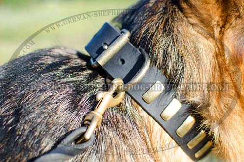 Leather German Shepherd Collar with Slide Brass Plates Riveted