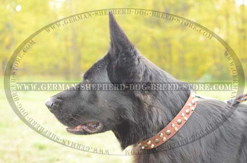 German Shepherd Collar Leather For Easy Walking
