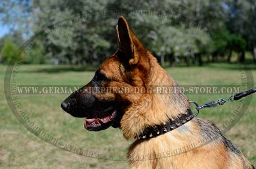 German Shepherd Collar Leather Fashionable