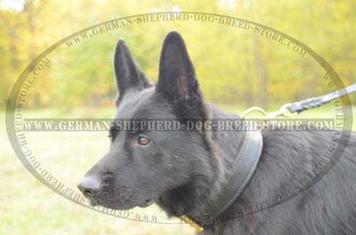 German Shepherd Collar Leather Extra Durable