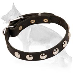 Leather German Shepherd Collar with Nickel Plated Studs