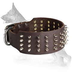 Wide Leather German Shepherd Collar with Spiked in 4 Rows