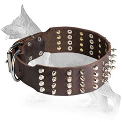Wide Leather German Shepherd Collar with 4 Rows Nickel Plated Spikes and Pyramids