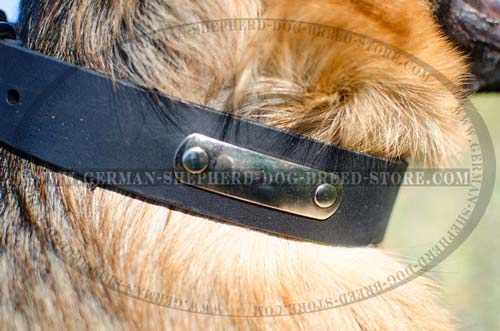 Identificating German Shepherd Collar Leather with Tag