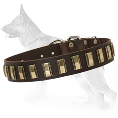 Unusual Design Leather German Shepherd Collar with Brass Plates