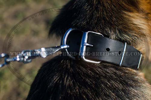 Leather German Shepherd Collar with Nickel Plated Pyramids and Plates