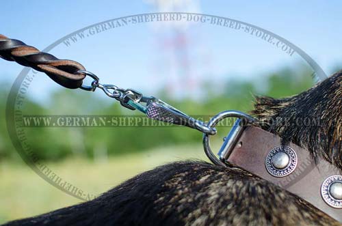Leather German Shepherd Collar with Elegant Nickel Plated Circles