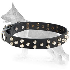 Decorated Leather German Shepherd Collar with Nickel Plated Hardware