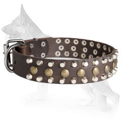 Leather German Shepherd Collar Decorated with Brass Half-Ball Studs and Nickel Plated Pyramids