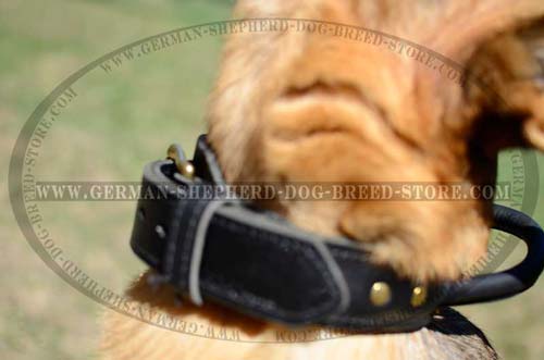 German Shepherd Dog Collar With Brass Fittings