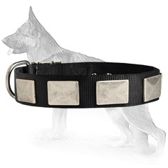 Comfy German Shepherd Dog Collar